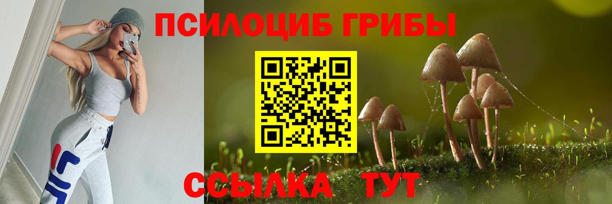 Псилоцибиновые грибы GOLDEN TEACHER Нефтекамск